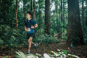 BIB: 
                            <button type="button" onclick="openModal(26069478)" class="btn btn-primary btn-sm float-right btn-popup" data-toggle="modal" data-target=".modal-high-quality">
                        <i class="fas fa-shopping-cart"></i> Add to Cart
                    </button>
                                            <button type="button" onclick="isThisMe(26069478, true)" class="btn btn-success btn-sm float-right btn-popup btn-isme hidden" data-toggle="tooltip" data-placement="bottom" title="นี่คือรูปของคุณใช่ไหม คลิกที่นี่เพื่อเอาเข้าอัลบั้ม">
                        <i class="fas fa-plus"></i> Add to album
                    </button>
                    <button type="button" onclick="isThisMe(26069478, false)" class="btn btn-warning btn-sm float-right btn-popup btn-isnotme hidden">
                        <i class="fas fa-ban"></i> Remove from album
                    </button>